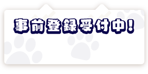Download Info
