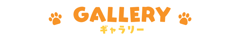 GALLERY ギャラリー