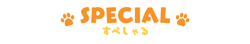 SPECIAL スペシャル