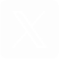 X (Twitter)
