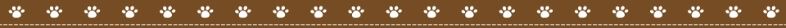 aboutのsmall-top-bar